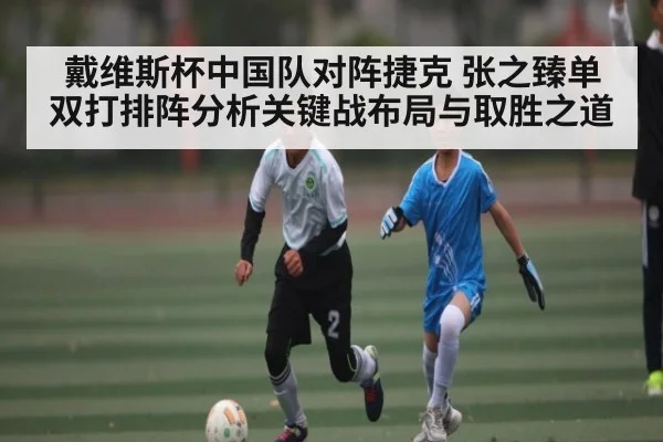 戴维斯杯中国队对阵捷克 张之臻单双打排阵分析关键战布局与取胜之道 - kaiyun
